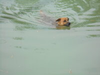 DSCN3536.JPG