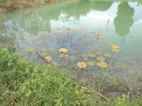 DSCN3533.JPG