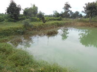 DSCN3532.JPG