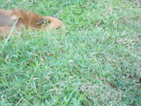 DSCN3537.JPG