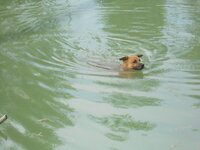 DSCN3535.JPG