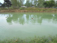 DSCN3534.JPG