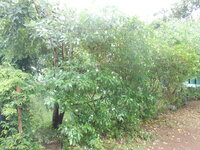 DSCN3526.JPG