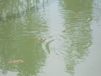 DSCN3538.JPG