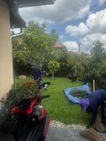 IMG_5441.jpeg IMG_5441.jpeg