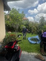 IMG_5442.jpeg IMG_5442.jpeg