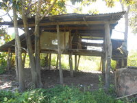 DSCN3308.JPG