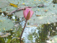 DSCN3316.JPG