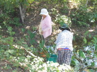 DSCN3320.JPG