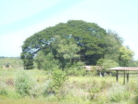DSCN3318.JPG