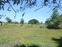 DSCN3317.JPG