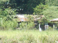 DSCN3319.JPG