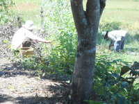 DSCN3326.JPG