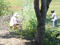 DSCN3327.JPG
