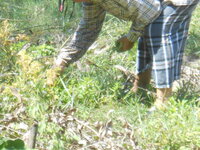 DSCN3325.JPG