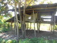 DSCN3340.JPG