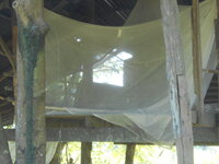 DSCN3341.JPG