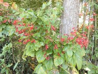DSCN3330~2.JPG