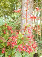 DSCN3332~2.JPG