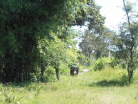 DSCN3307.JPG