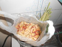DSCN3384.JPG