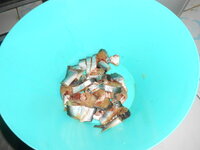 DSCN3386.JPG