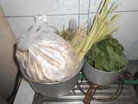 DSCN3383.JPG