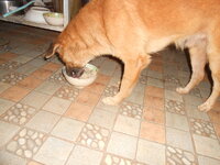DSCN3547.JPG