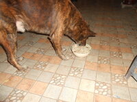 DSCN3548.JPG