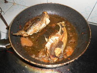 DSCN3127.JPG