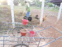 DSCN3078.JPG