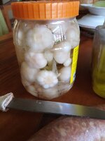 IMG_20231104_121825_896.jpg