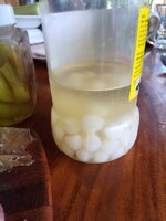 IMG_20231104_121751_920.jpg
