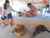 DSCN3275.JPG