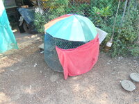 DSCN3433.JPG