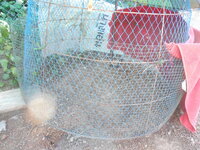 DSCN3434.JPG