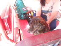 DSCN3094.JPG