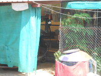 DSCN9347.JPG