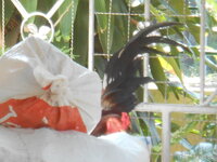 DSCN9344.JPG
