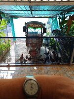 IMG_20231105_160339_599.jpg