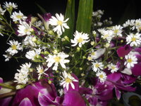 DSCN9435.JPG