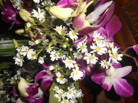 DSCN9436.JPG