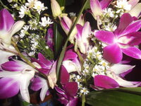 DSCN9437.JPG