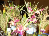 DSCN9413.JPG