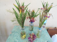 DSCN9467.JPG