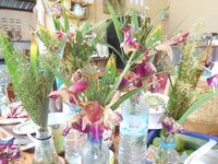 DSCN9415.JPG