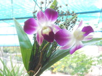 DSCN9470.JPG