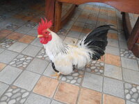 DSCN9458.JPG