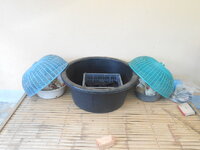 DSCN9464.JPG