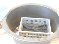 DSCN9465.JPG